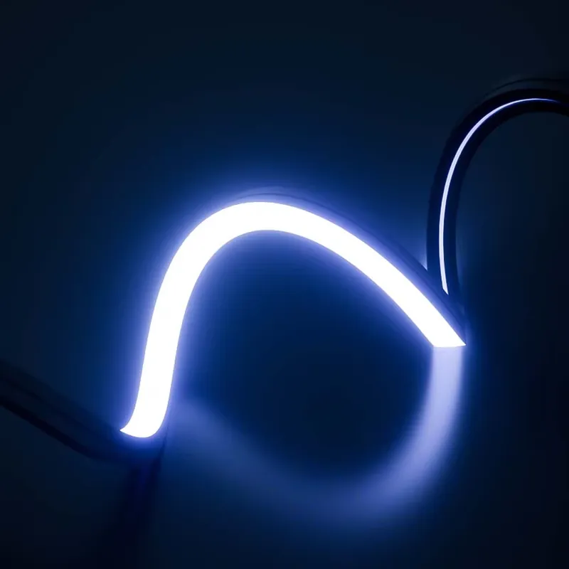PERFECTE Dream Color LED Neon  - Outdoor Lighting Ip65 recensie en prijs